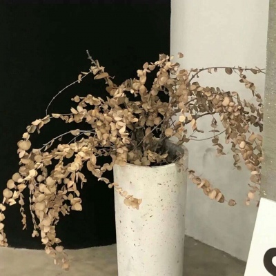 兽设森林场景创作福瑞交流群